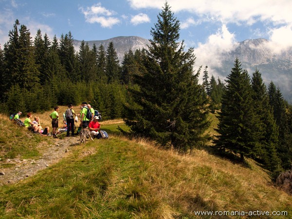 Walk Piatra Craiului Bucegi walkers 600